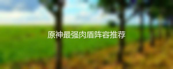 原神最强肉盾阵容推荐