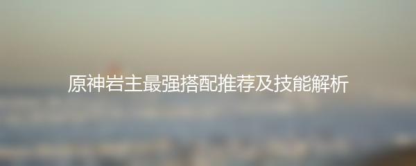 原神岩主最强搭配推荐及技能解析