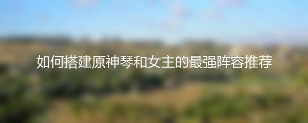 如何搭建原神琴和女主的最强阵容推荐