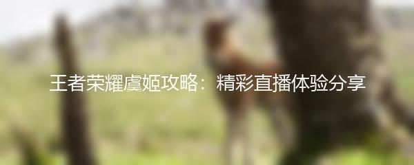 王者荣耀虞姬攻略：精彩直播体验分享
