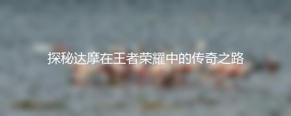 探秘达摩在王者荣耀中的传奇之路