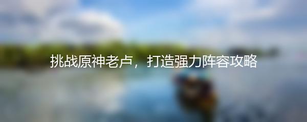 挑战原神老卢，打造强力阵容攻略