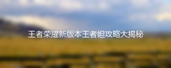 王者荣耀新版本王者妲攻略大揭秘