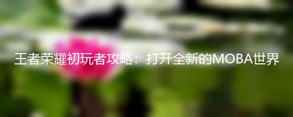 王者荣耀初玩者攻略：打开全新的MOBA世界