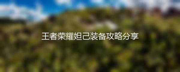 王者荣耀妲己装备攻略分享