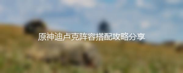 原神迪卢克阵容搭配攻略分享