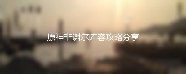 原神非谢尔阵容攻略分享
