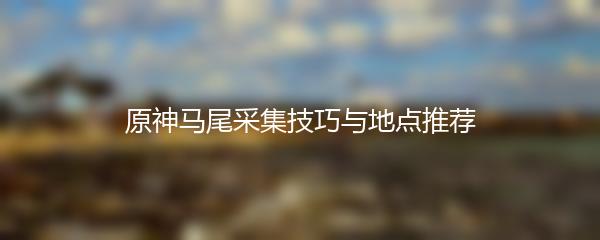 原神马尾采集技巧与地点推荐