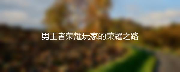 男王者荣耀玩家的荣耀之路