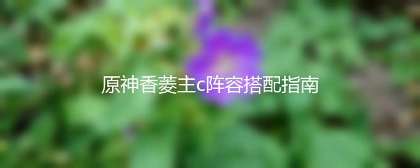 原神香菱主c阵容搭配指南