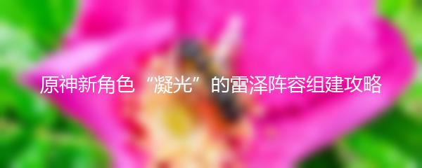 原神新角色“凝光”的雷泽阵容组建攻略