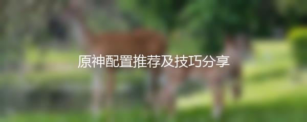 原神配置推荐及技巧分享