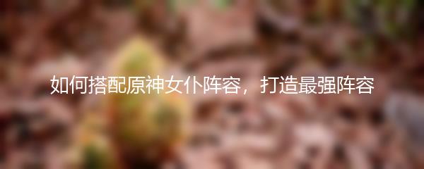 如何搭配原神女仆阵容，打造最强阵容