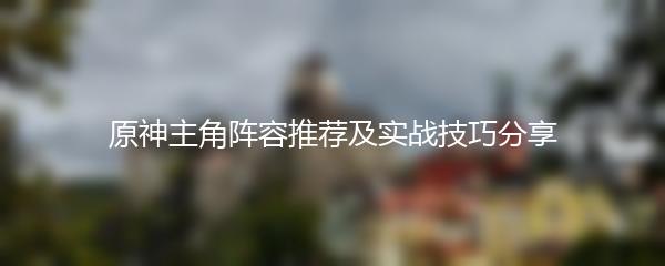 原神主角阵容推荐及实战技巧分享