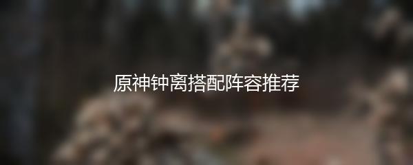 原神钟离搭配阵容推荐