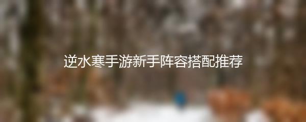 逆水寒手游新手阵容搭配推荐