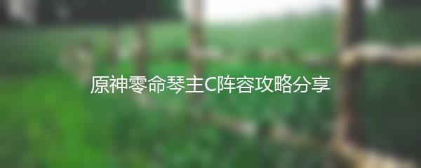 原神零命琴主C阵容攻略分享