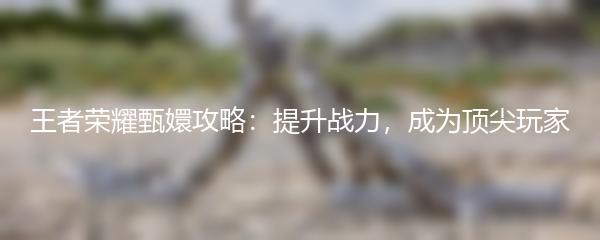 王者荣耀甄嬛攻略：提升战力，成为顶尖玩家