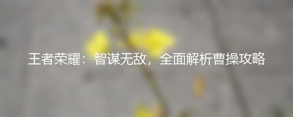 王者荣耀：智谋无敌，全面解析曹操攻略