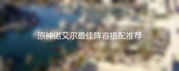 原神诺艾尔最佳阵容搭配推荐