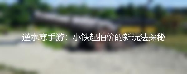 逆水寒手游：小铁起拍价的新玩法探秘