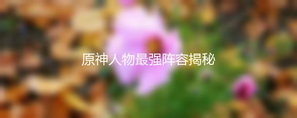 原神人物最强阵容揭秘