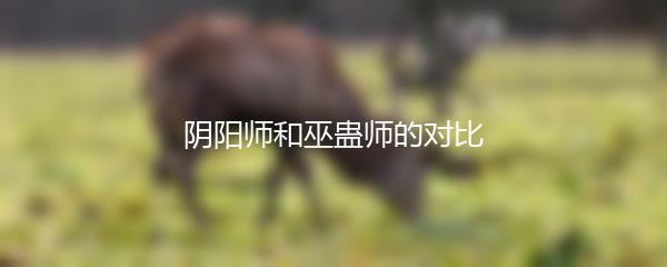 阴阳师和巫蛊师的对比