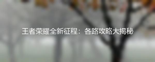 王者荣耀全新征程：各路攻略大揭秘