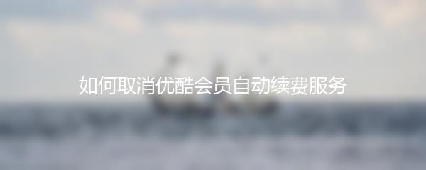如何取消优酷会员自动续费服务