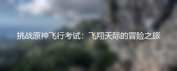 挑战原神飞行考试：飞翔天际的冒险之旅