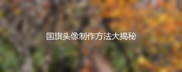 国旗头像制作方法大揭秘