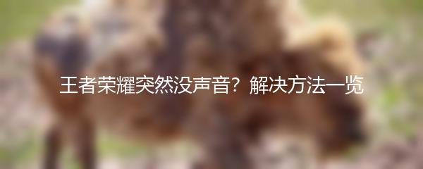 王者荣耀突然没声音？解决方法一览