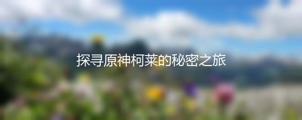 探寻原神柯莱的秘密之旅