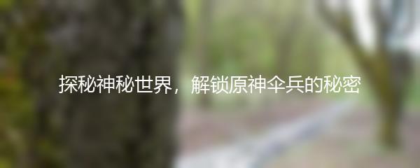 探秘神秘世界，解锁原神伞兵的秘密