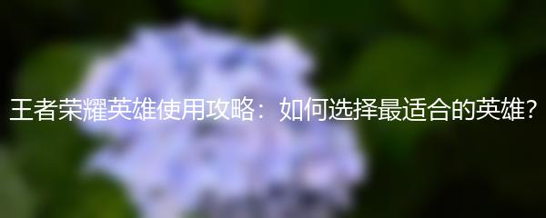 王者荣耀英雄使用攻略：如何选择最适合的英雄？