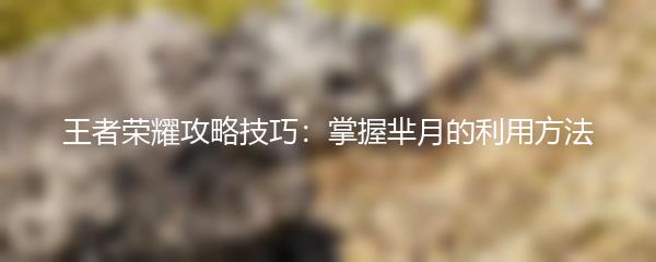 王者荣耀攻略技巧：掌握芈月的利用方法