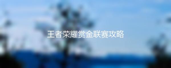 王者荣耀赏金联赛攻略