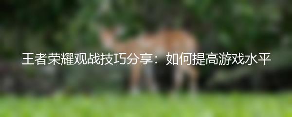 王者荣耀观战技巧分享：如何提高游戏水平
