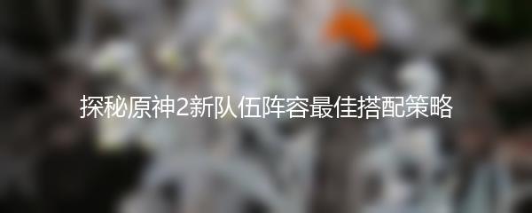 探秘原神2新队伍阵容最佳搭配策略