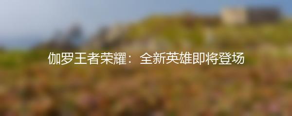 伽罗王者荣耀：全新英雄即将登场