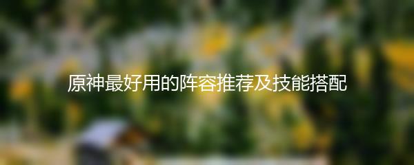 原神最好用的阵容推荐及技能搭配