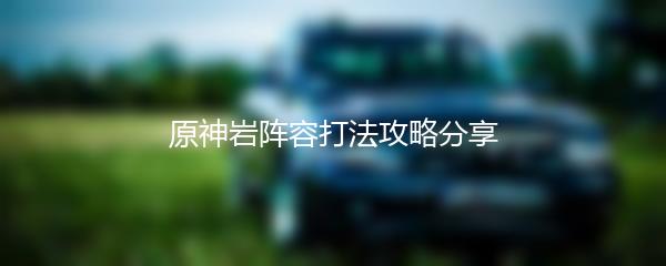 原神岩阵容打法攻略分享