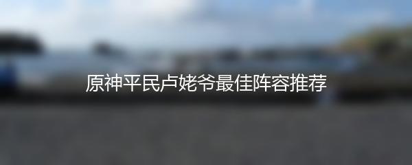 原神平民卢姥爷最佳阵容推荐
