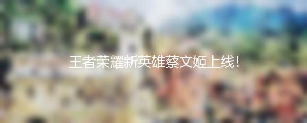 王者荣耀新英雄蔡文姬上线！