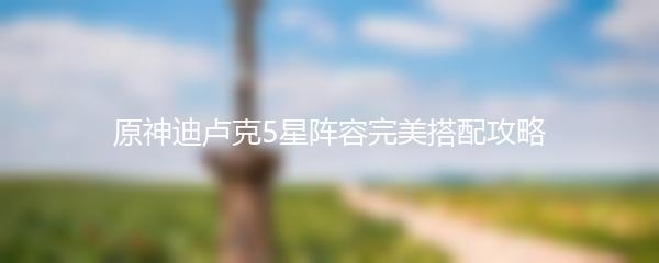 原神迪卢克5星阵容完美搭配攻略