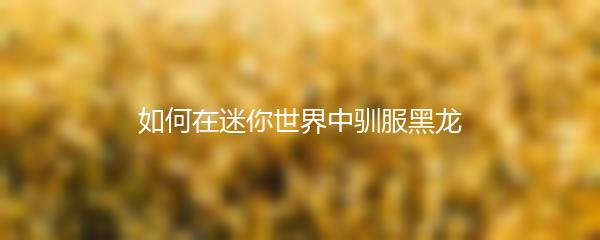 如何在迷你世界中驯服黑龙