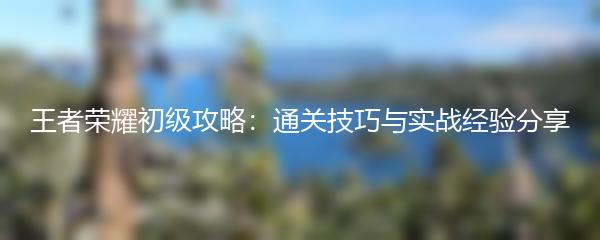 王者荣耀初级攻略：通关技巧与实战经验分享