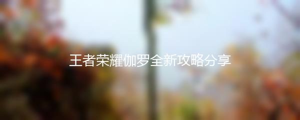 王者荣耀伽罗全新攻略分享