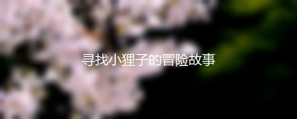 寻找小狸子的冒险故事