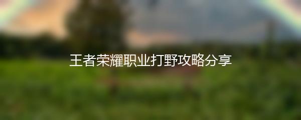 王者荣耀职业打野攻略分享